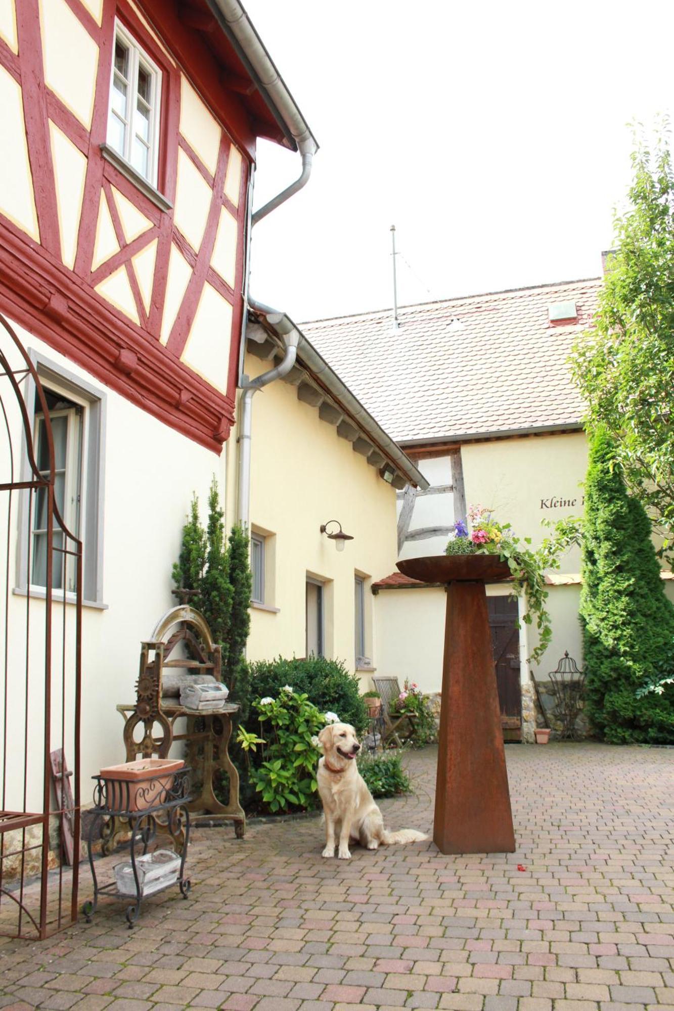 Kleine Residenz Am Schloss Hochheim am Main Exterior foto